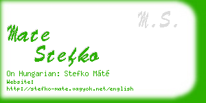 mate stefko business card